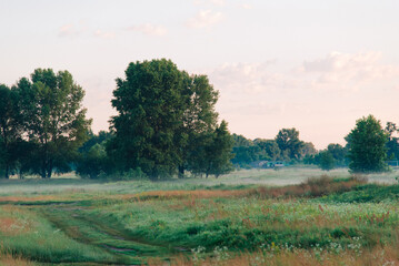 Sunrise in the morning forest overlooking nature. Morning fog spreads over the ground. Rural landscape. Meadow and forest.	