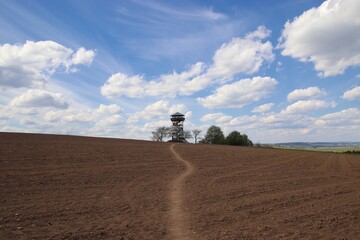 Fototapeta premium A little path across the field leading to the wooden lookout tower in Zernovnik, Czech republic
