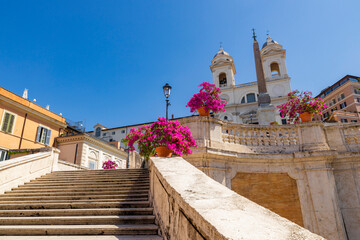 Perspective panorama of the Spanish Steps Trinit dei Monti city center of Rome in spring with the pink azalea pots that color the baroque staircase.Rome, Italy, Europe.