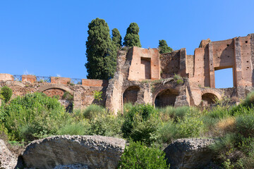 Fototapeta na wymiar Palatine Hill, view of the ruins of several important ancient buildings, Rome, Italy