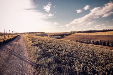 A view to the beautiful landscape in scorching sun with fields and roads around the Palava hills near Nosislav, Czech republic