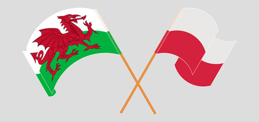 Crossed and waving flags of Wales and Poland