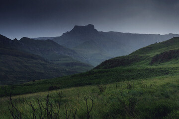 Obraz premium Rainy Day on the Amphitheatre - Royal Natal National park