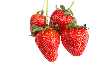 Strawberry on white background. Fresh sweet fruit closeup
