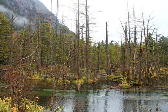 National Park Kamikochi (上高地), Hida Mountains In Nagano Prefecture | Typical Landscape