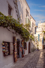 Fototapeta na wymiar Beautiful alley with souvenir and artwork shops, Peschici, Gargano, Italy