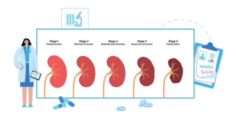 Kidney disease concept - obrazy, fototapety, plakaty