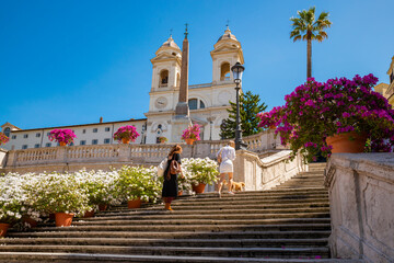 Piazza di Spagna Rome in a spring morning with two tourists the flowered flower of white azaleas, pink the blue sky on the baroque stairway of the Trinita dei Monti. Attraction of Rome and Italy.