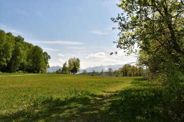 landscape with trees and sky