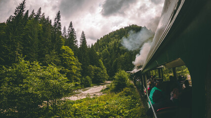 The romanian mocanita steem train going through the green mountains