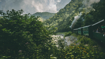 The romanian mocanita steem train going through the green mountains