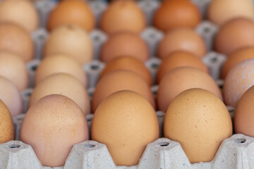 Chicken eggs in tray selection focus.