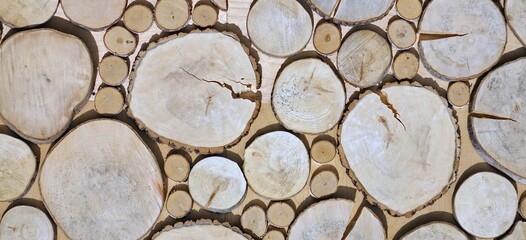 Cut Wooden Rings Decorative Wall Wide Panel. Tree Stumps Panoramic Background. Pine Wood Stump Texture. Round Pine Wood Tree Circle Stump Cut Background. Round Wood Tree Circle Stump Textured Wall.