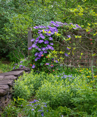 Stone wall, fence, and flowering plants in garden in spring in central Virginia.fe