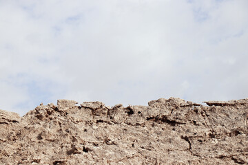 dead sea desert salt nature photo