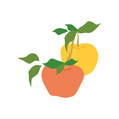 Fruit apple branch. Stock vector illustration isolated on white background. Two apples hanging on branch with leaves. Food decoration, flat food illustration, fruit tree, apple branch. Healthy eating.