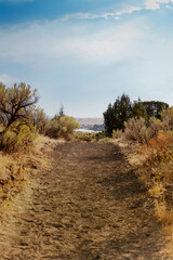 dirt trail with view of river in background and blue sky
