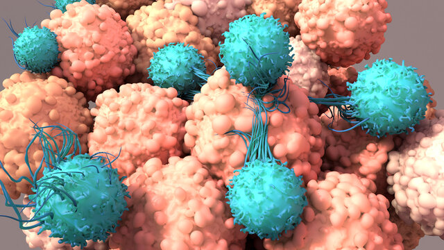 T-Cells Work to Fight Cancer, Immunotherapy, 
CAR T-cell therapy, 3d rendering