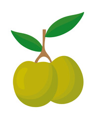 olive branch design