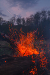 Sparks fly from the fire. Bonfire and sparks.