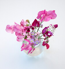 Branch  of  sweet pea with white - pink  flowers on white background