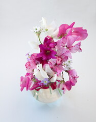 Branch  of  sweet pea with white - pink  flowers on white background