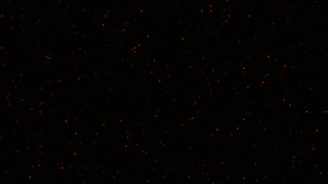 Random Posterized Filling Pixels Lofi Red Dots