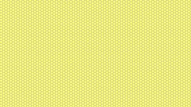 Fine Mesh Hex Hexagonal Chicken Wire Grid