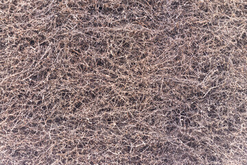Branches of plants in a large pile with water flowing from above. Branches close - up on the entire width of the photo. Texture background from real nature.