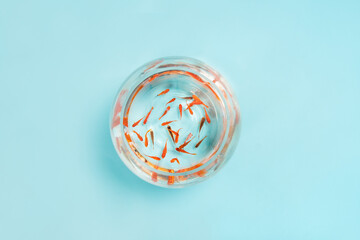 goldfishes swimming in fish bowl on blue background