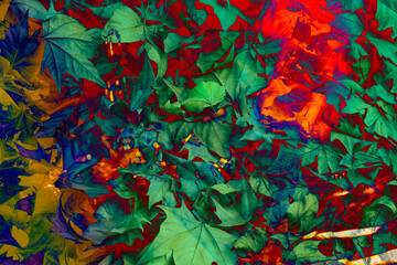 Vibrant shapes and colors with abstract leaf patterns. Vibrant background.