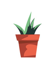 Isolated plant design