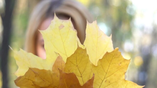 Beautiful girl with long blonde hair posing in autumn park. Female autumn fashio