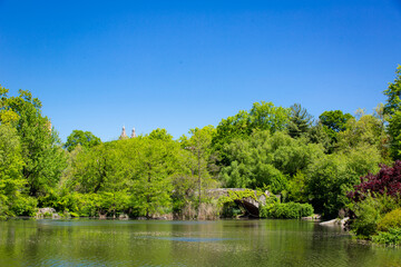 Fototapeta na wymiar view of Central Park in New York City