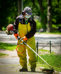 gardener trimming grass in Central Park