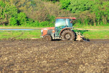 Obraz premium トラクターでの代掻き作業（田掻き） 農業 水田 稲 農家