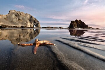 Star Fish on beach by rocks and reflections in calm water at sunset. Hole in the Wall in Rialto Beach. Olympic National Park. Washington State. USA  - obrazy, fototapety, plakaty