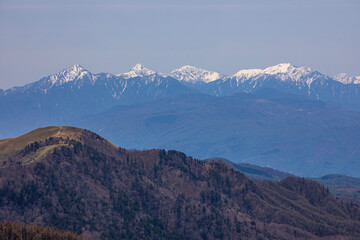 Fototapeta premium mountains in the snow