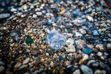 shells