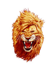Pencil drawing of a lion head isolated on white background - 433363492