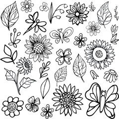 sunflower, chamomile, leaves, flowers, doodling