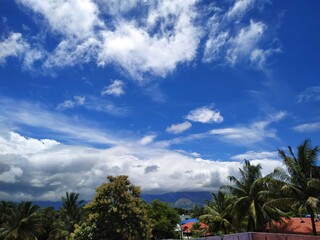 Obraz premium palm trees and blue sky