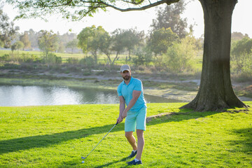 Golfer putting golf ball on the green golf.