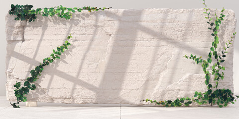 Decorative stone wall with light from window and shadows, leaves element 3d rendering minimal interior product presentation background
