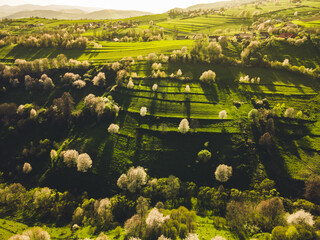 Spring landscape in Slovakia. Polana region, Hrinova. Green spring rural hills landscape, fields, flowering trees, organic farming © Zedspider