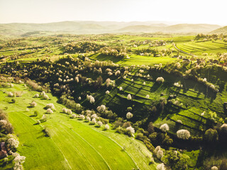Spring landscape in Slovakia. Polana region, Hrinova. Green spring rural hills landscape, fields, flowering trees, organic farming © Zedspider