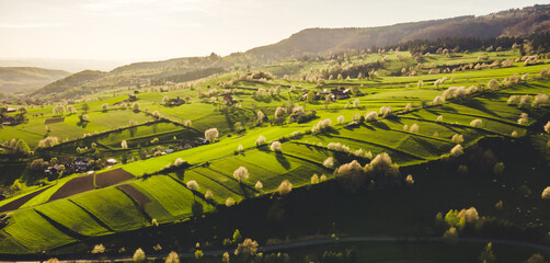 Spring landscape in Slovakia. Polana region, Hrinova. Green spring rural hills landscape, fields, flowering trees, organic farming © Zedspider