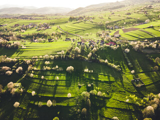 Spring landscape in Slovakia. Polana region, Hrinova. Green spring rural hills landscape, fields, flowering trees, organic farming © Zedspider