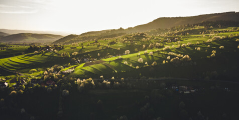 Spring landscape in Slovakia. Polana region, Hrinova. Green spring rural hills landscape, fields, flowering trees, organic farming © Zedspider