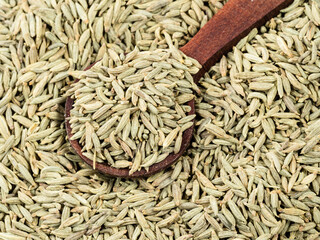 spoon on pile of anise seeds closeup